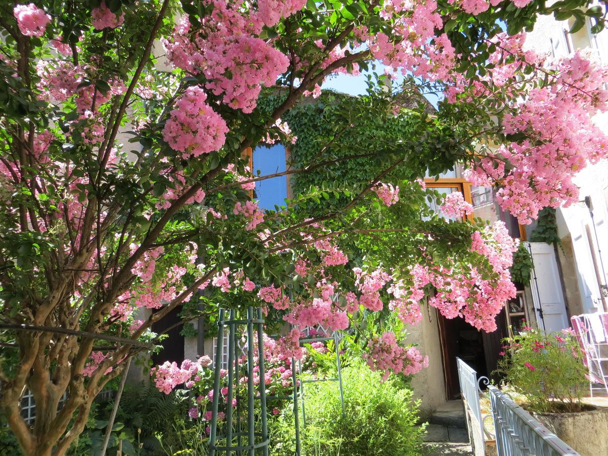 La Mirandole Bed and Breakfast Foix Exteriör bild